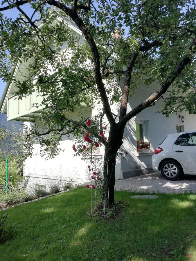 Apartma Neza Блед Экстерьер фото